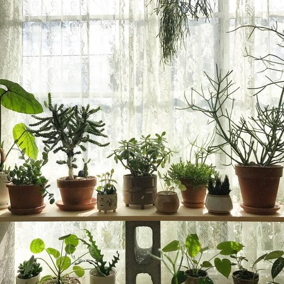 Meet your Posher, Kristin - Picture 2 of 2